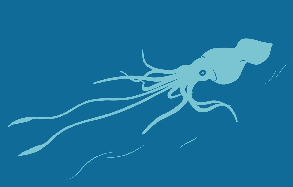 A light blue illustration of a colossal squid against a dark blue background