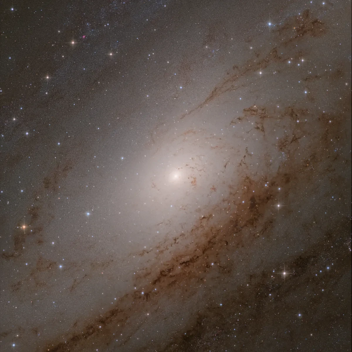 Photo of the Andromeda Galaxy in muted black tones with bright white core