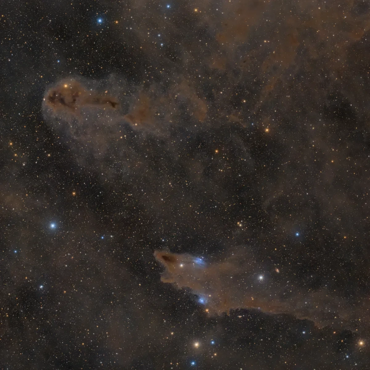 Image showing dark nebulae, dense gas clouds and distant galaxies